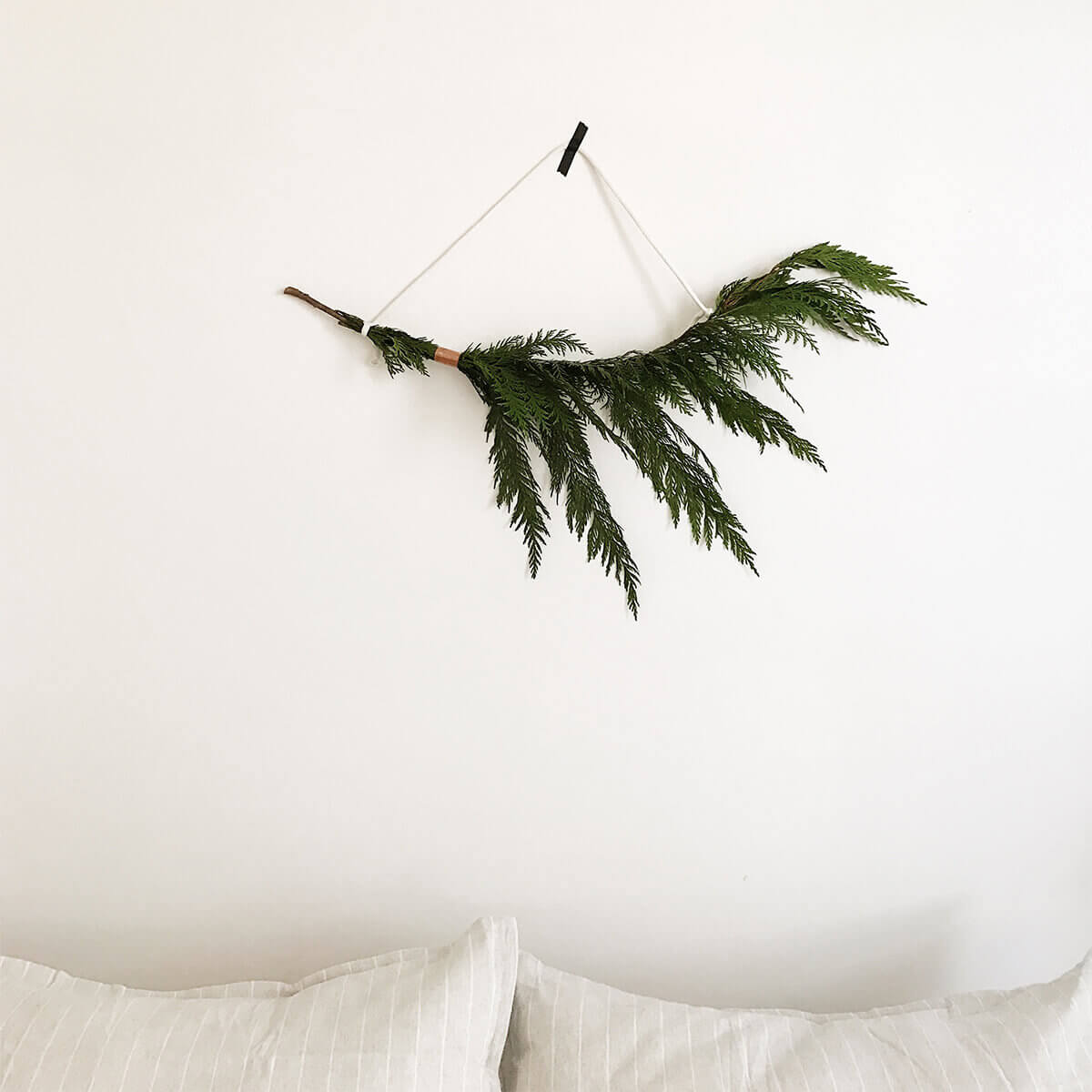 Branch of pine hanging above bed