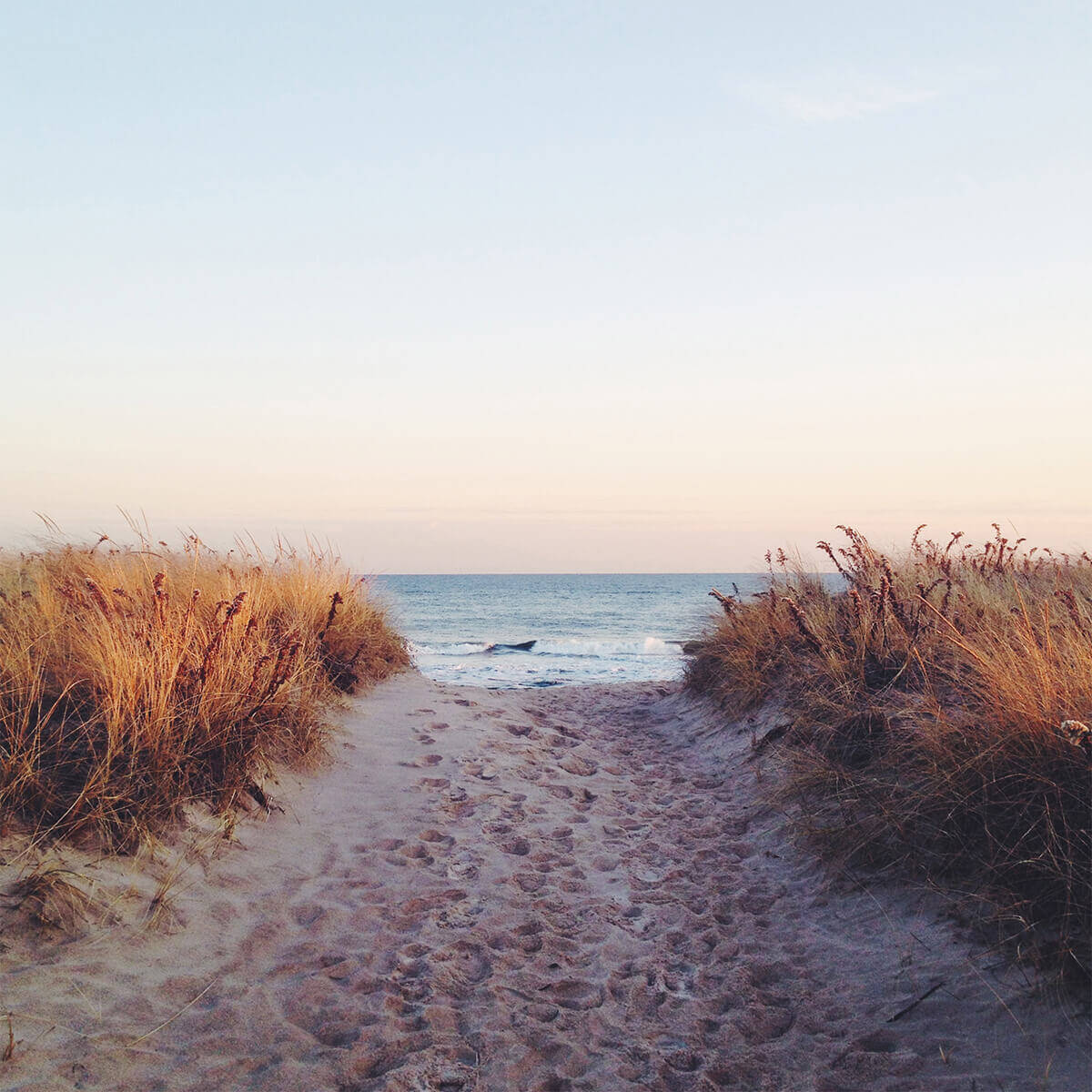 Sandy path leading to beautiful coastline