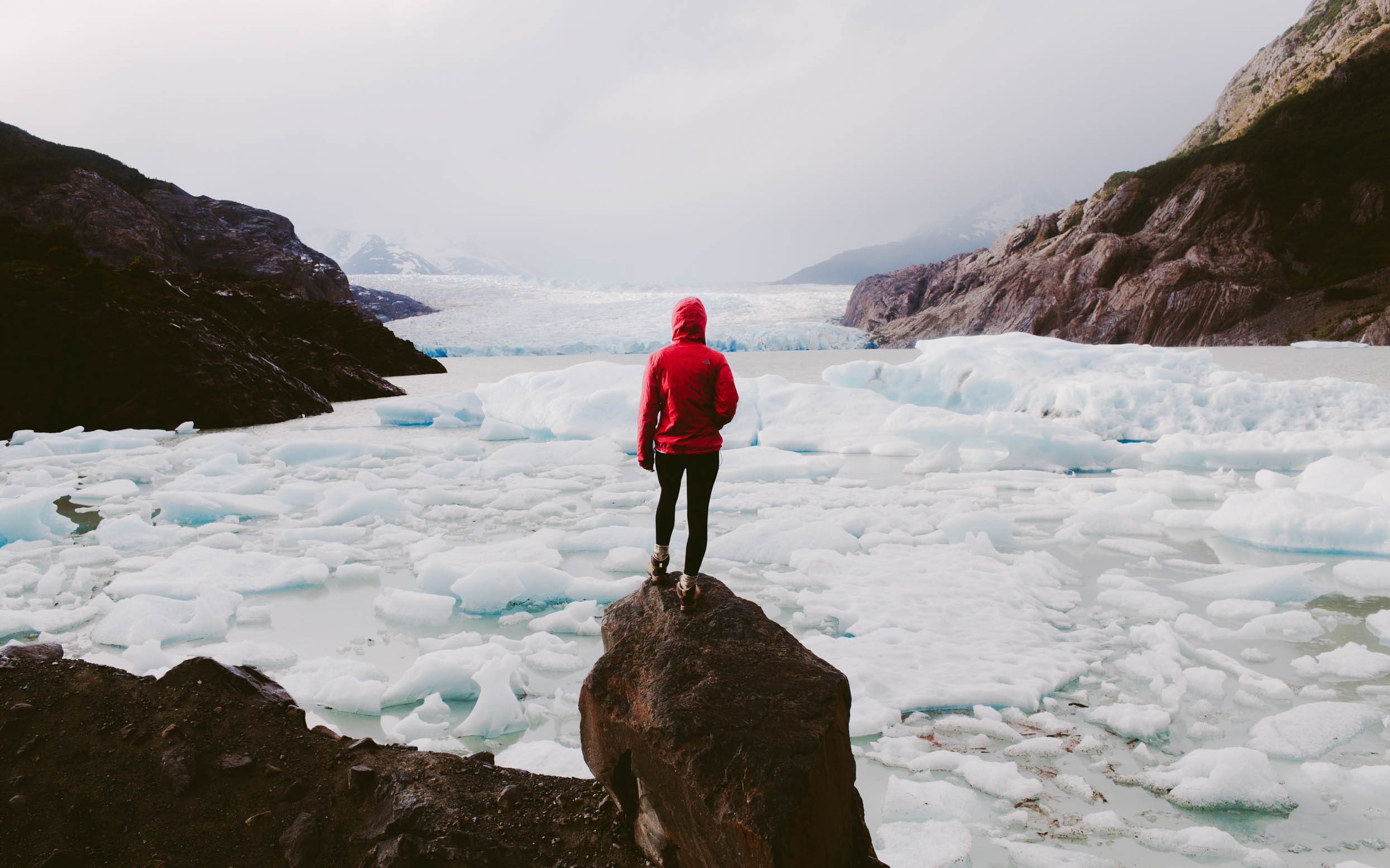 A person in a red jacket looking over an arctic scene