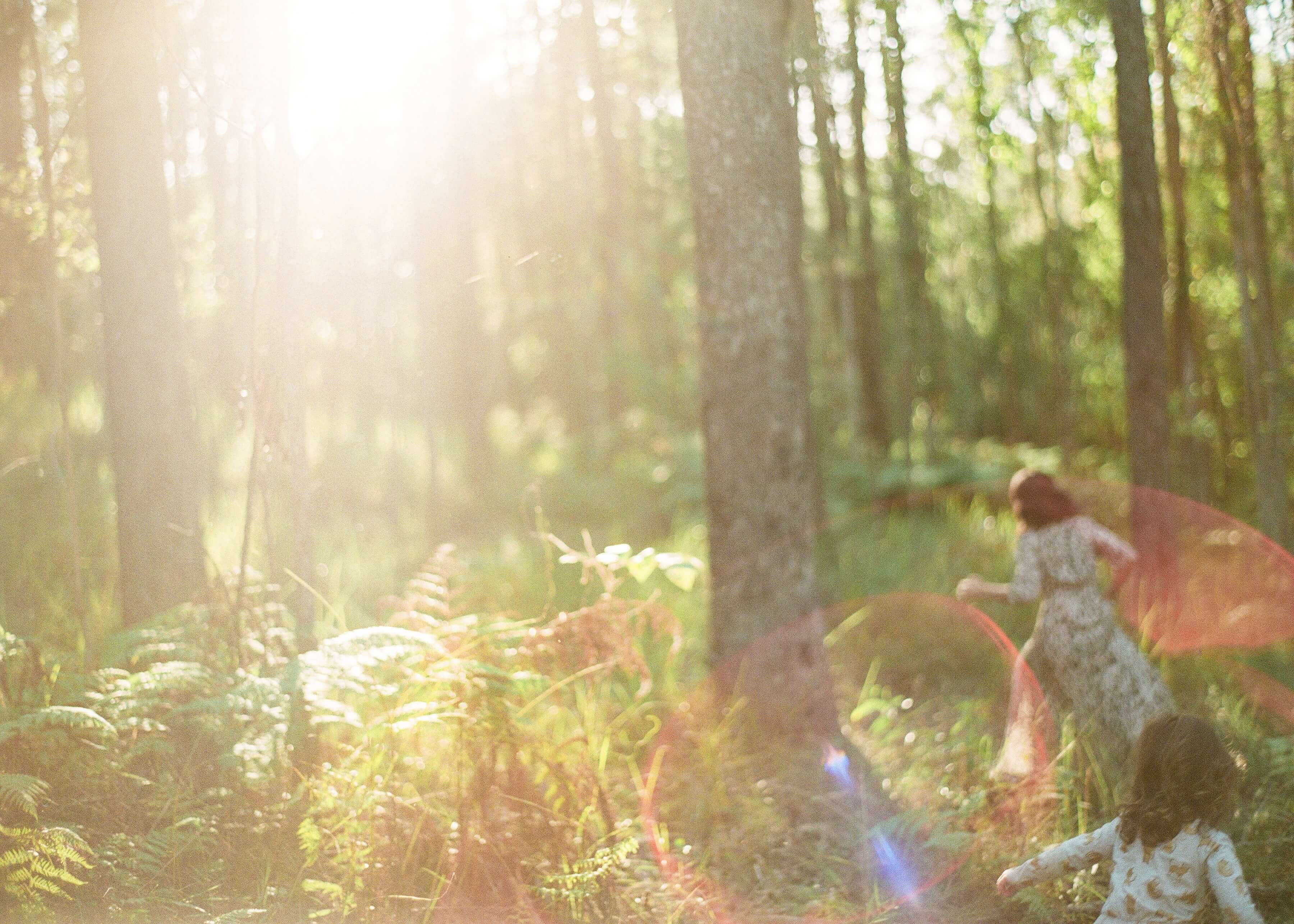 Blurred photo of little girls running through the forest