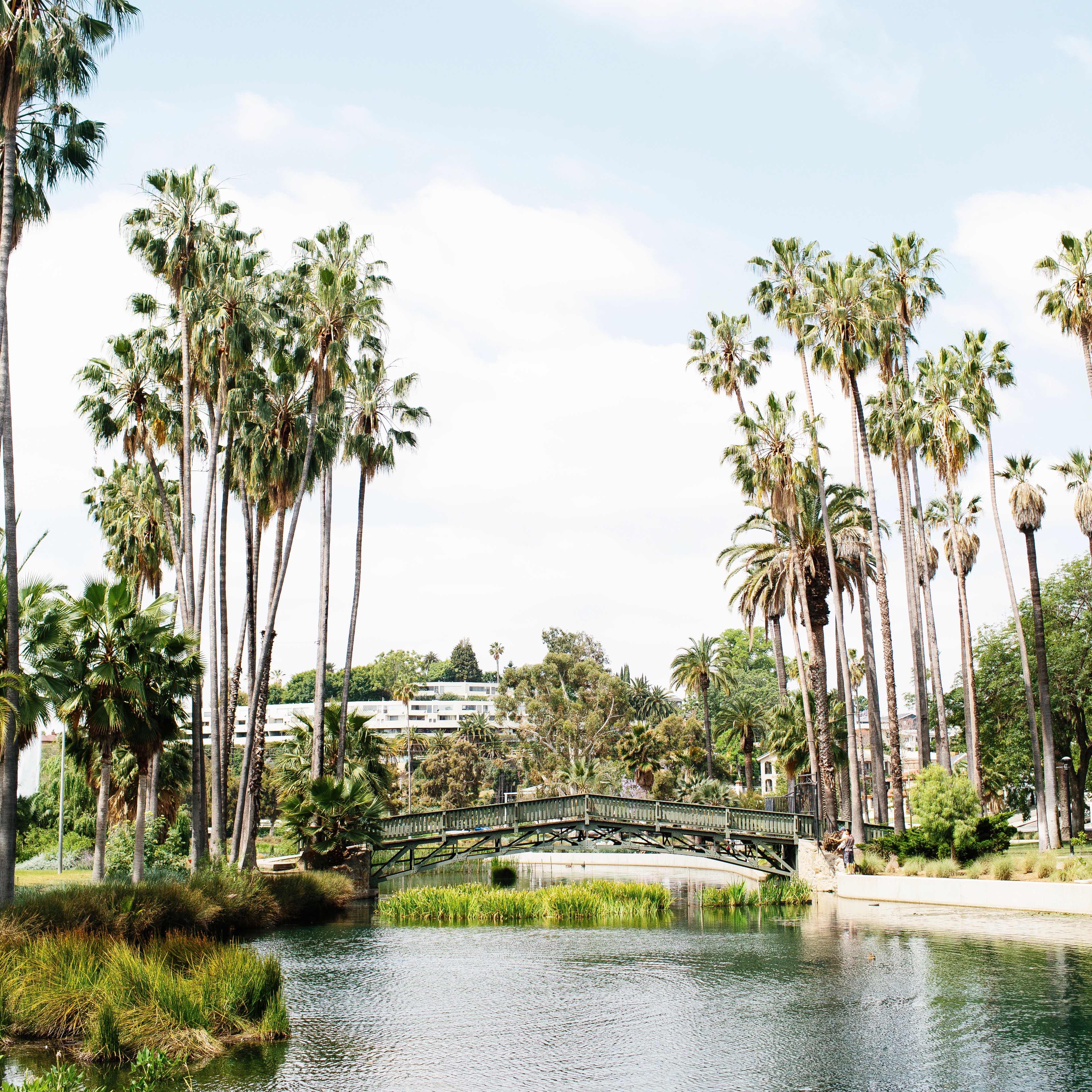 Palm trees on either side of a small bridge at Echo Lake Park in Los Angeles