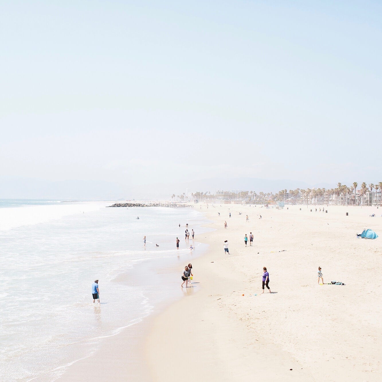Venice beach during the day