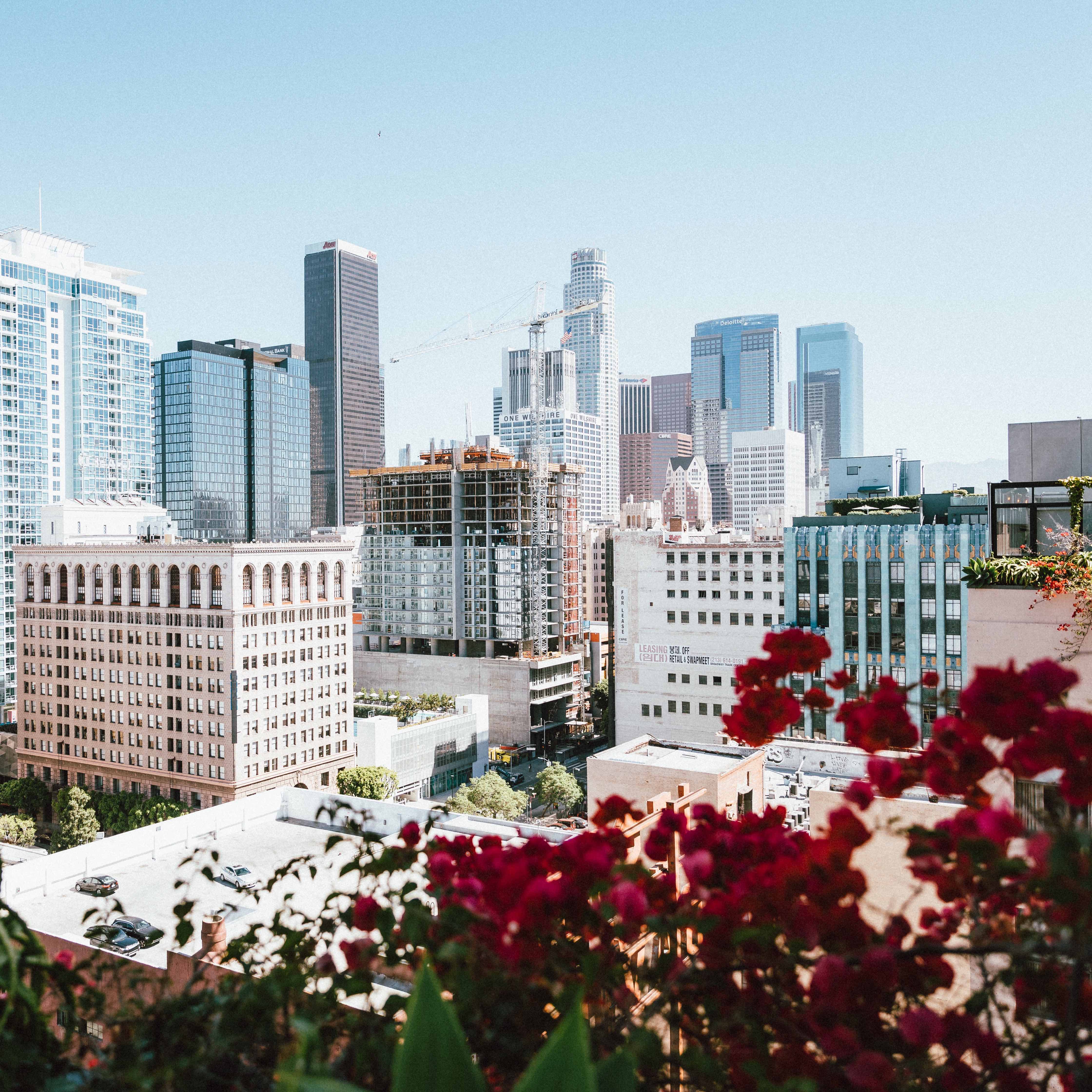 Photo from the rooftop of the Ace Hotel in Los Angeles