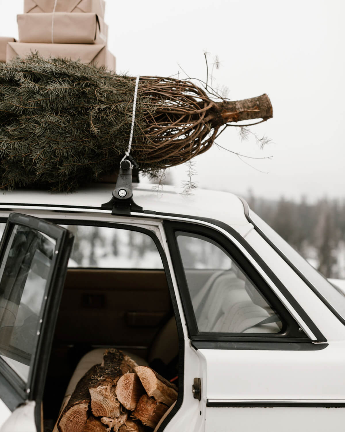 Tree strapped to the top of an old white car with gifts stacked on top