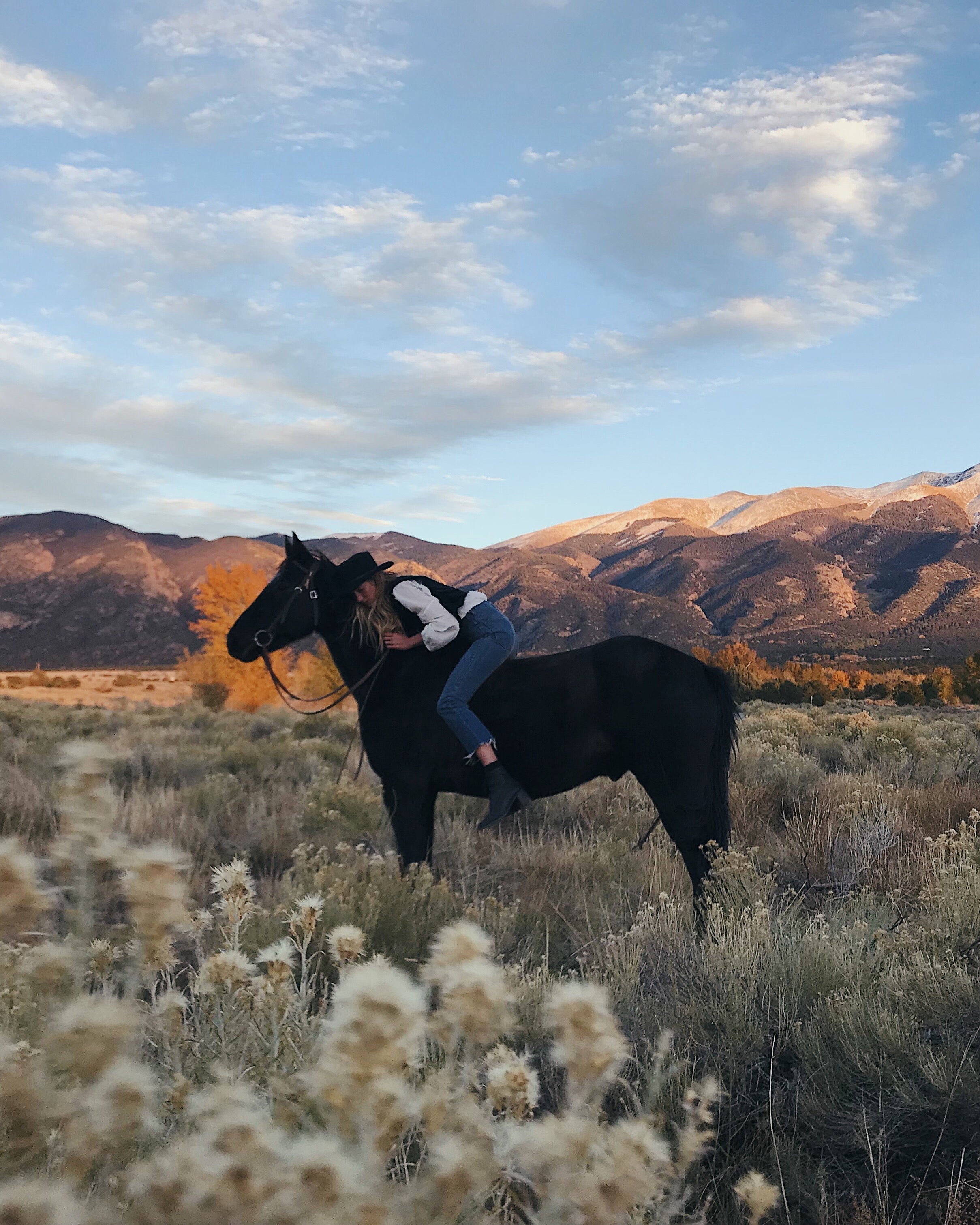 Lucy Laucht photo of woman riding horse