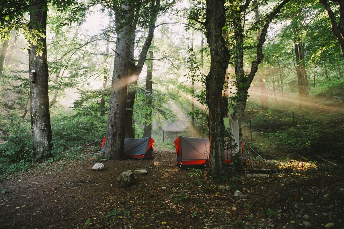 Alex Strohl