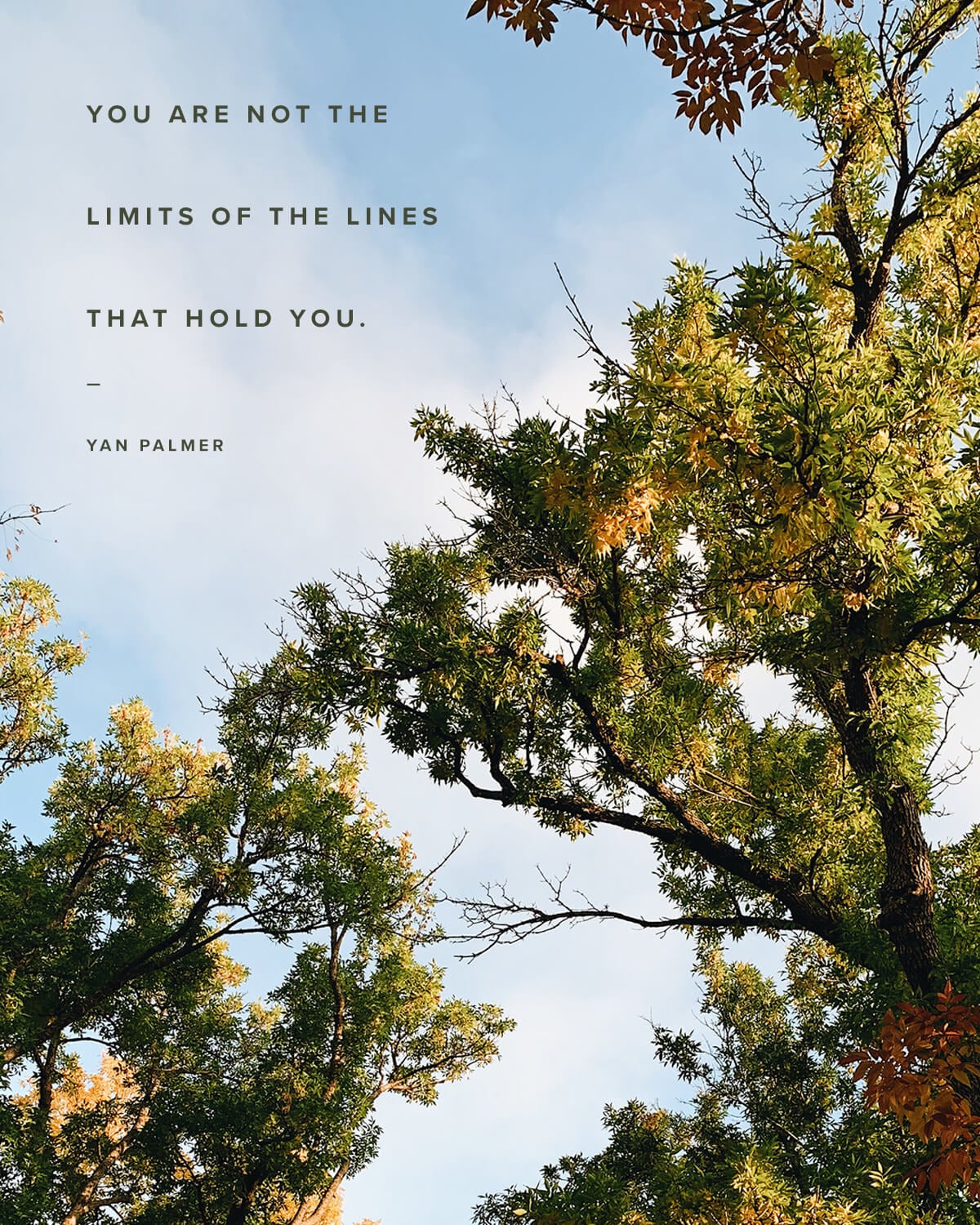 You are not the limits of the lines that hold you